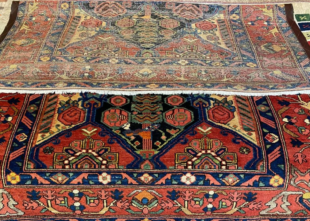 Tappeto Persiano Bakhtiari feridan antico 215 x 148 cm - immagine 8