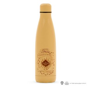 Bottiglia isotermica 500ml – mappa del malandrino